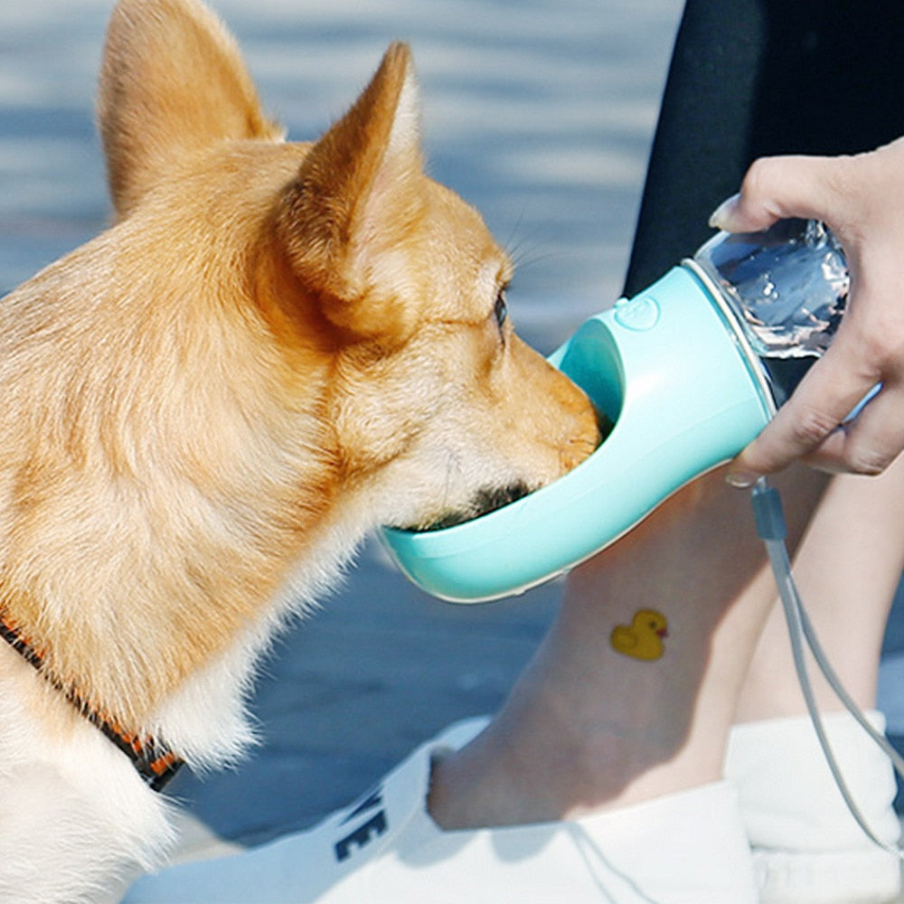 Pet Dog Water Bottle Feeder Bowl
